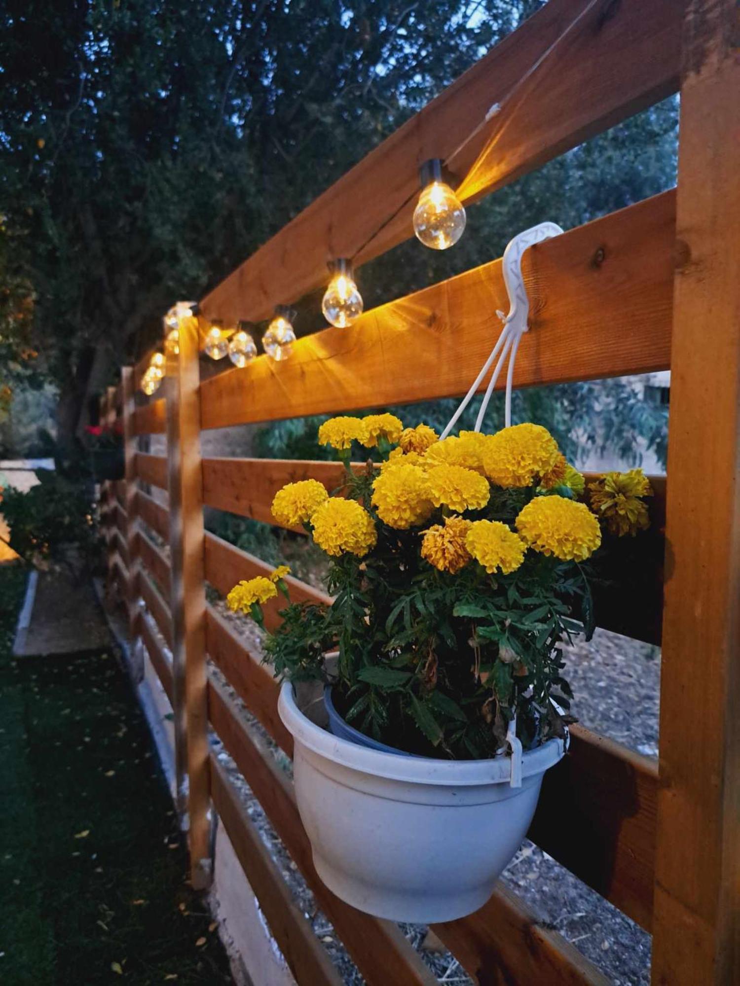 Felina House Villa Artemida  Dış mekan fotoğraf